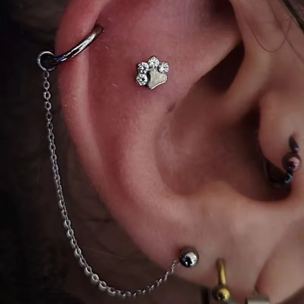 Body Jewelry And Piercing - Titanium Nose Chain Double Chain 25-50mm