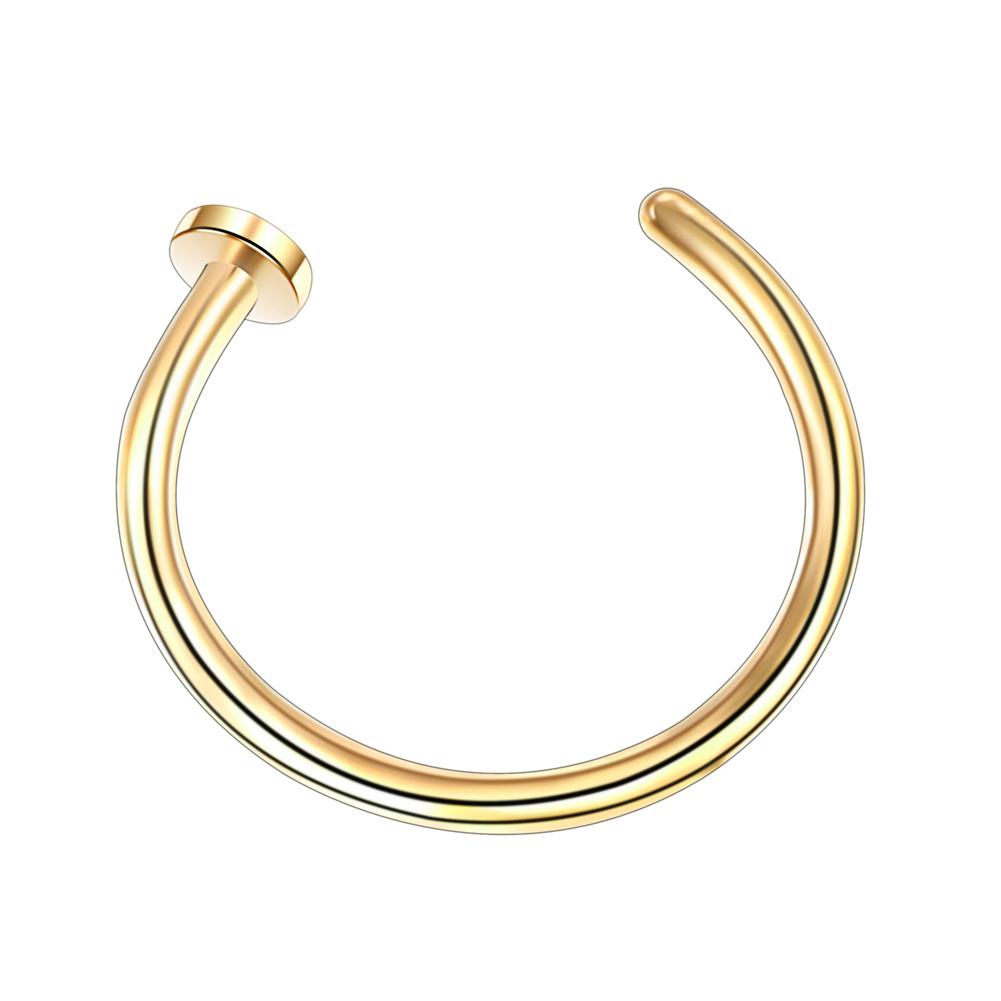 1PCS Fake Piercing Nose Hoop S – Body Jewelry And Piercing Bewertung und Preis