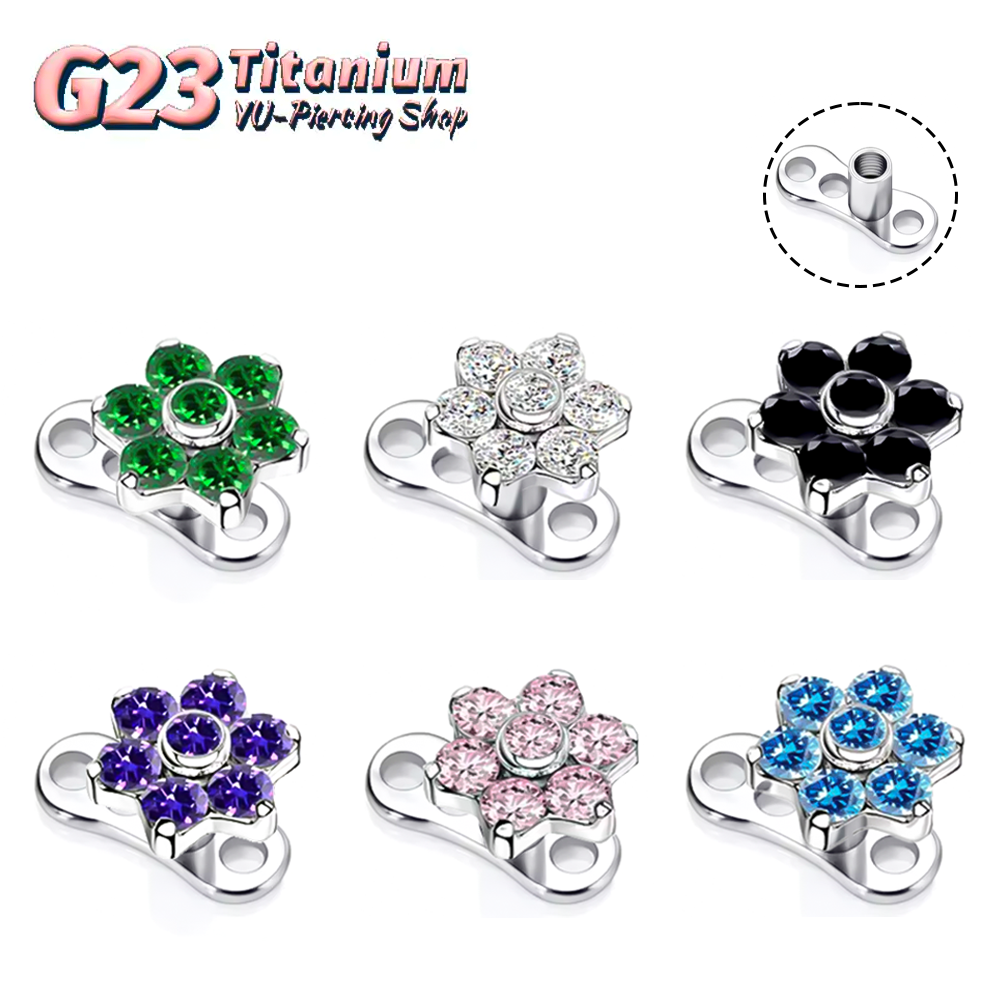 F136 Titanium Alloy High-Quali – Body Jewelry Quality Bewertung und Preis