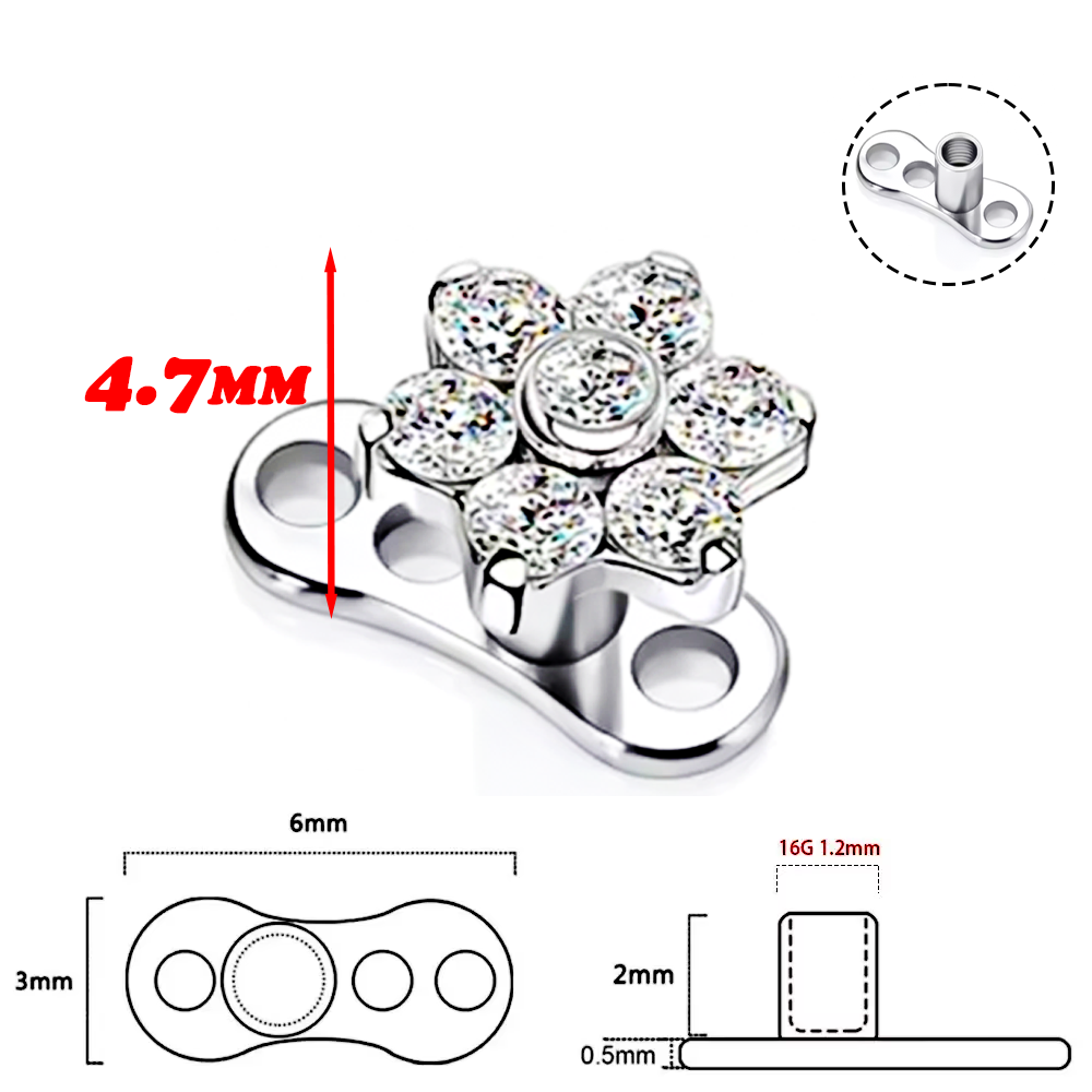F136 Titanium Alloy High-Quali – Body Jewelry Quality Bewertung und Preis