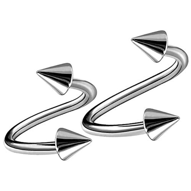 2Pcs  Surgical Steel Spiral Tw – Body Jewelry Gauges Bewertung und Preis